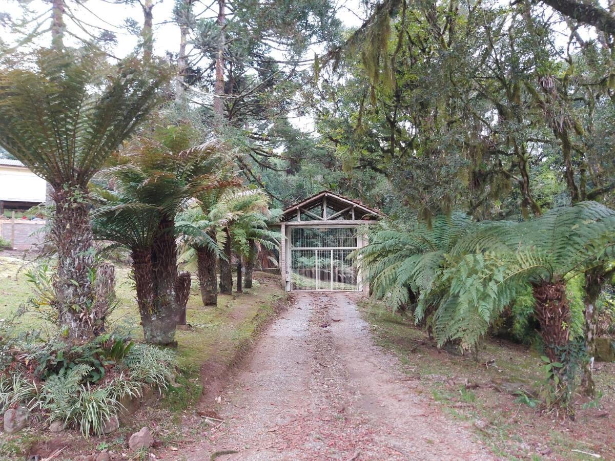 Appartamento Sitio Dos Amigos Canela Esterno foto